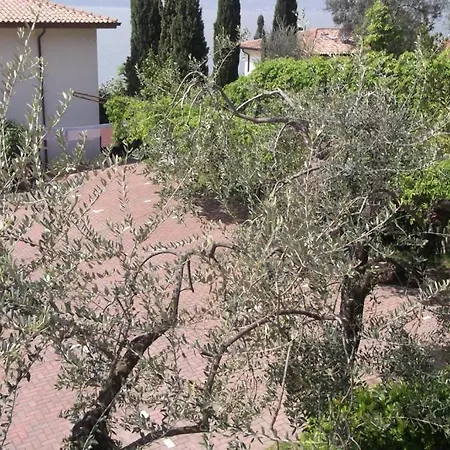 Delle Rose * Torri Del Benaco