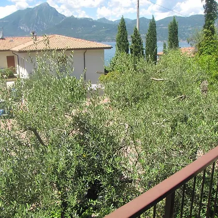 Delle Rose Torri Del Benaco