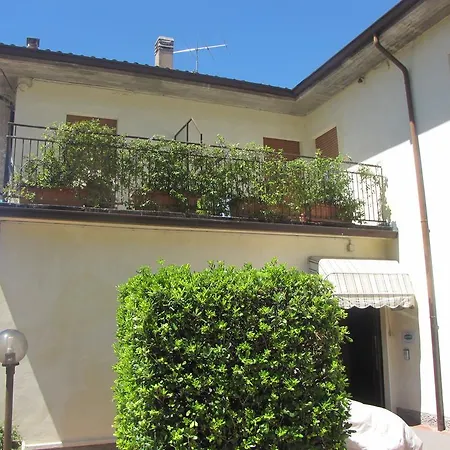 Delle Rose Hotel *