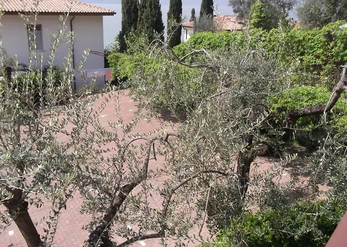 Delle Rose * トッリ・デル・ベーナコ